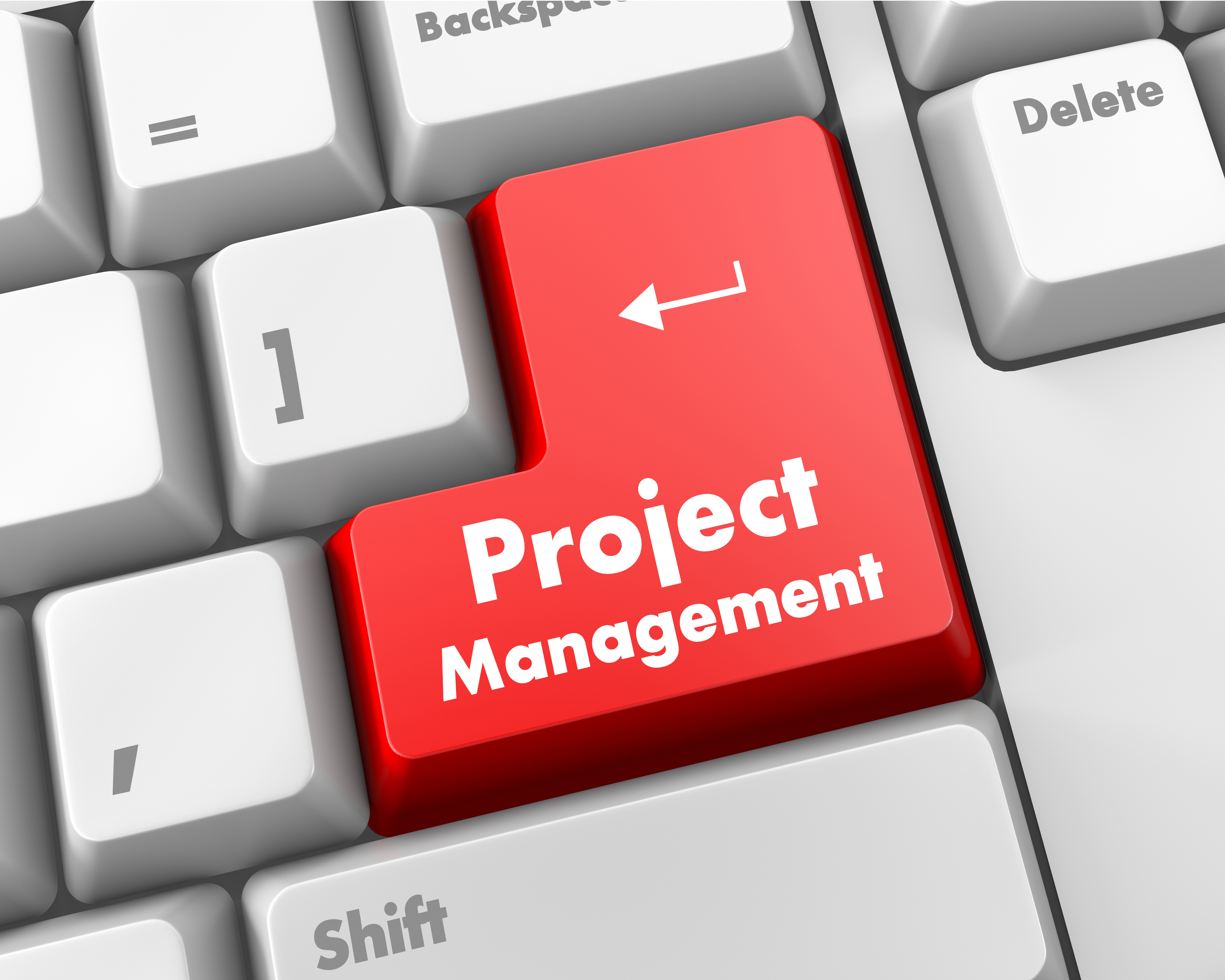 Project management
