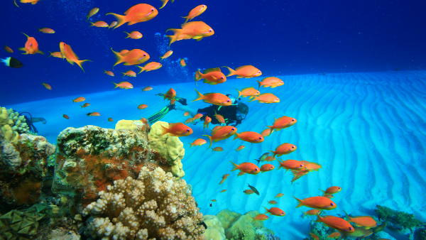 sharm el sheikh