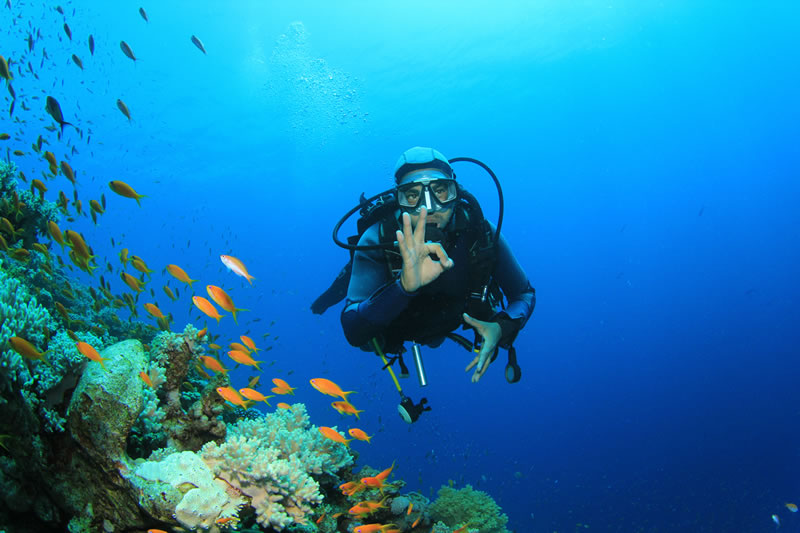 via-del-mare-villasimius-diving