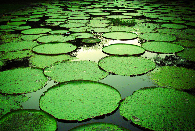 superficie antibatterica