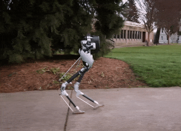 robot bipiede Cassie
