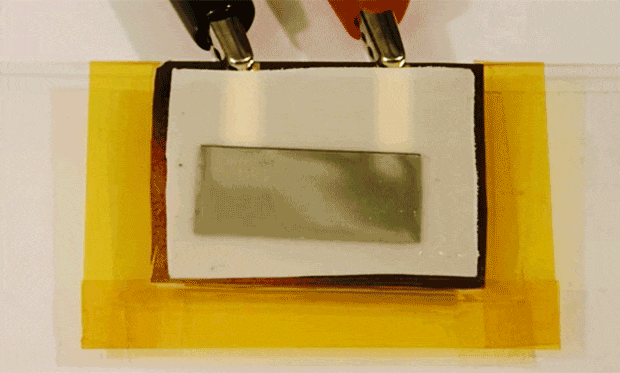 autodistruzioni device