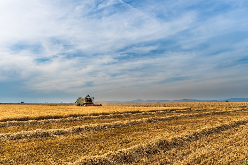 terre agricole