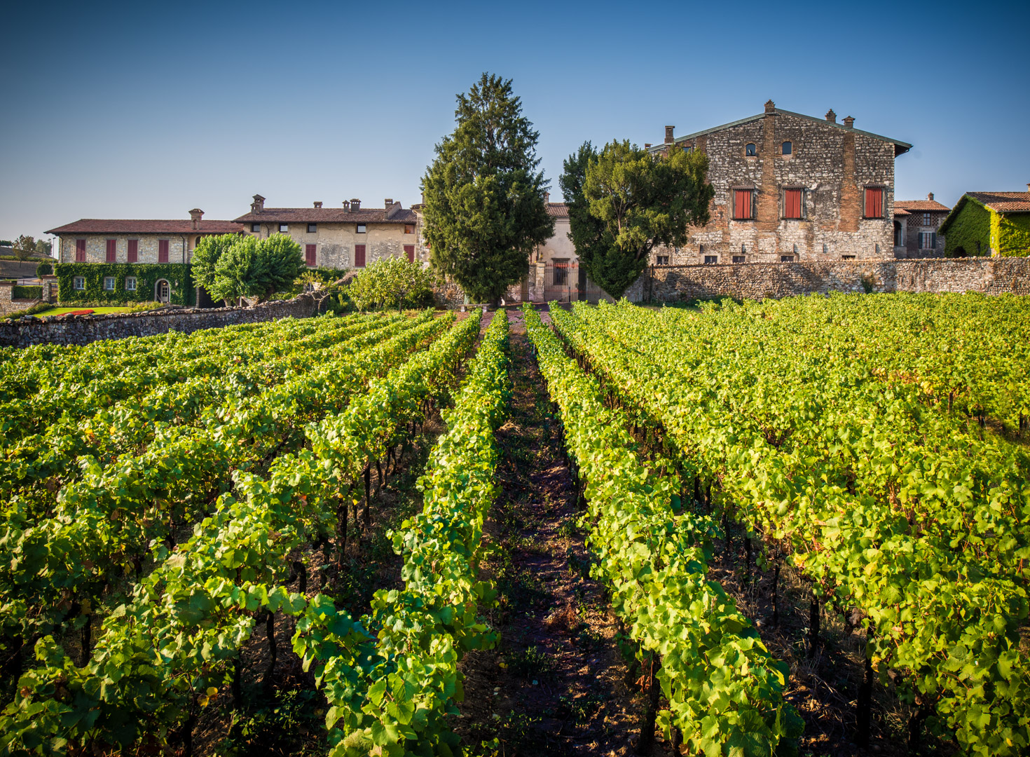 Berlucchi e il Franciacorta