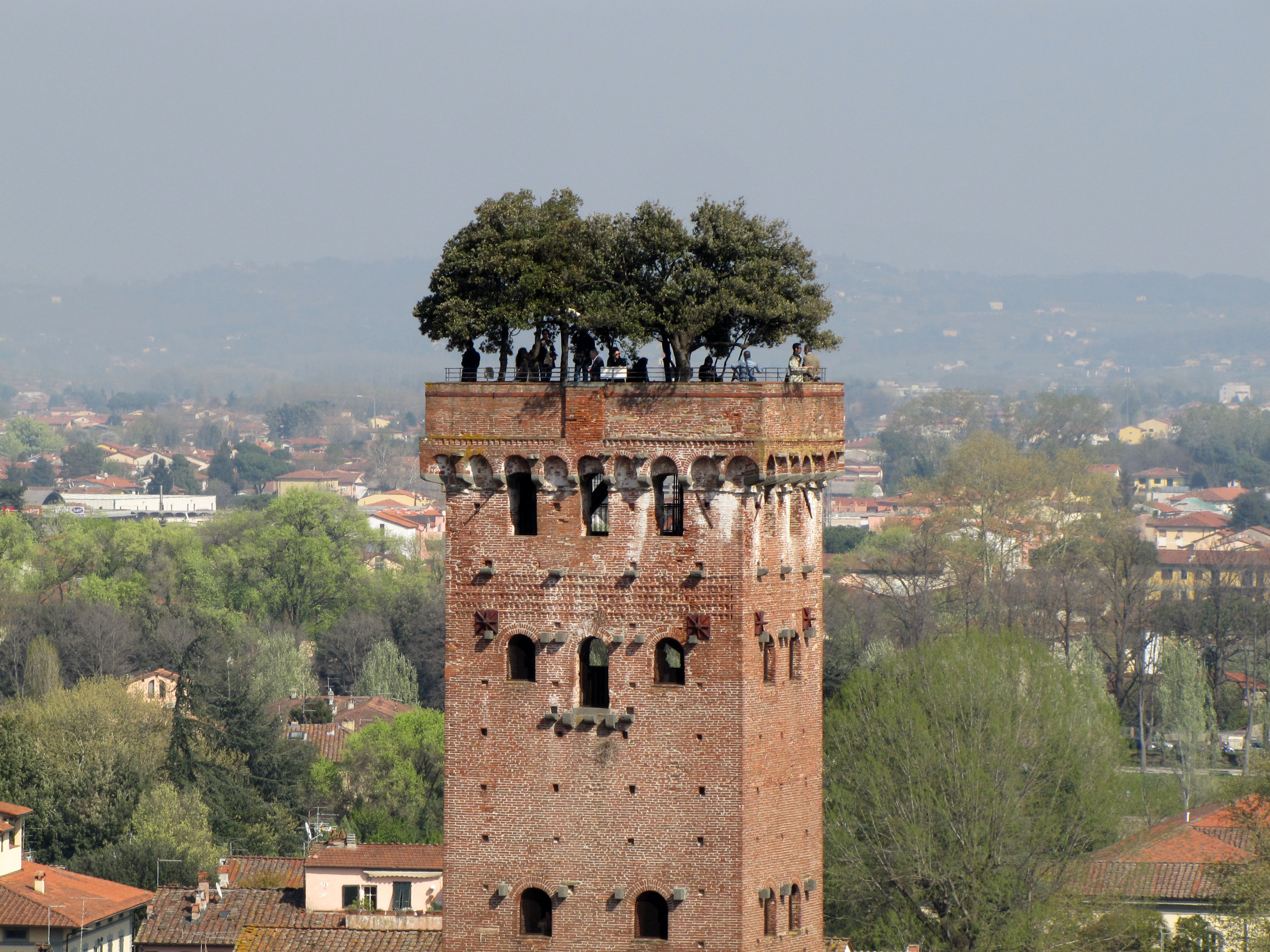 Torre Guinigi di Lucca