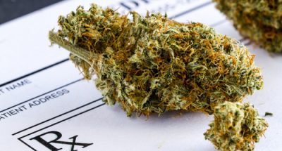 marijuana in italia no alla legalizzazione