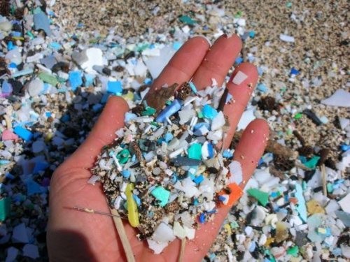 inquinamento da plastica una piaga per i nostri oceani2