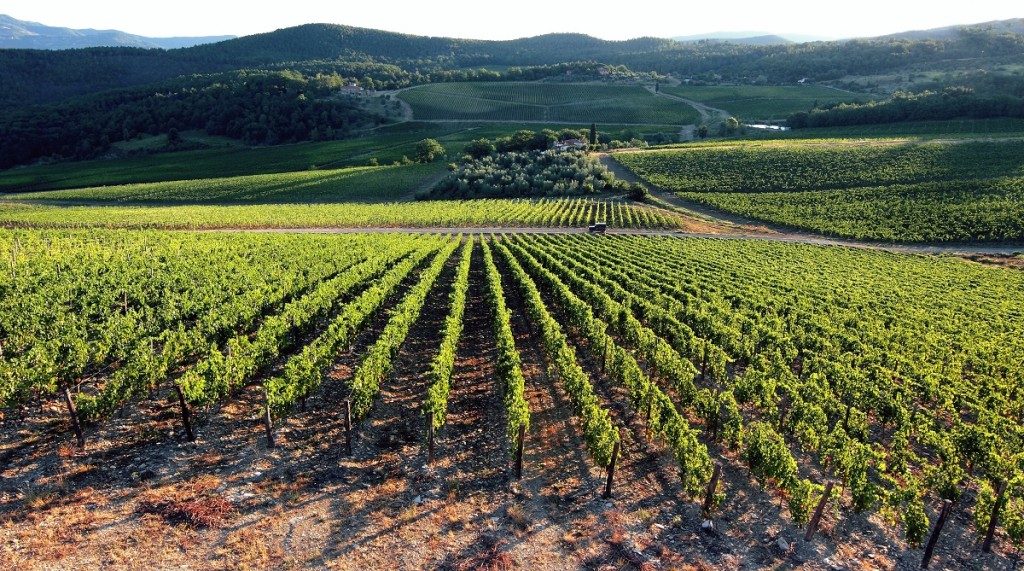 agricoltura innovativa gli espositori ad agrilevante 2017