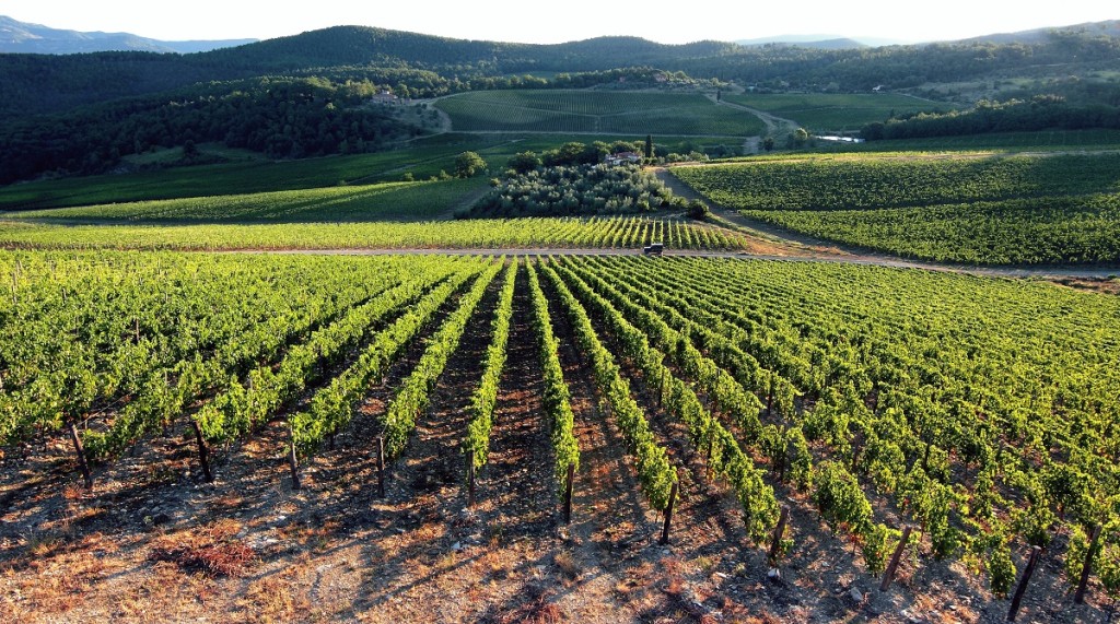 agricoltura innovativa gli espositori ad agrilevante 2017