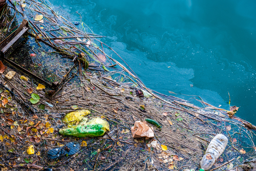 inquinamento da plastica una piaga per i nostri oceani