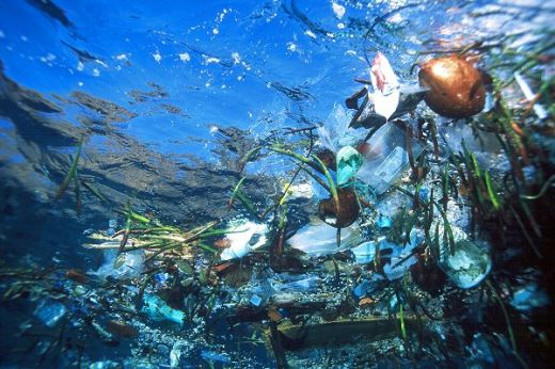 inquinamento da plastica una piaga per i nostri oceani3