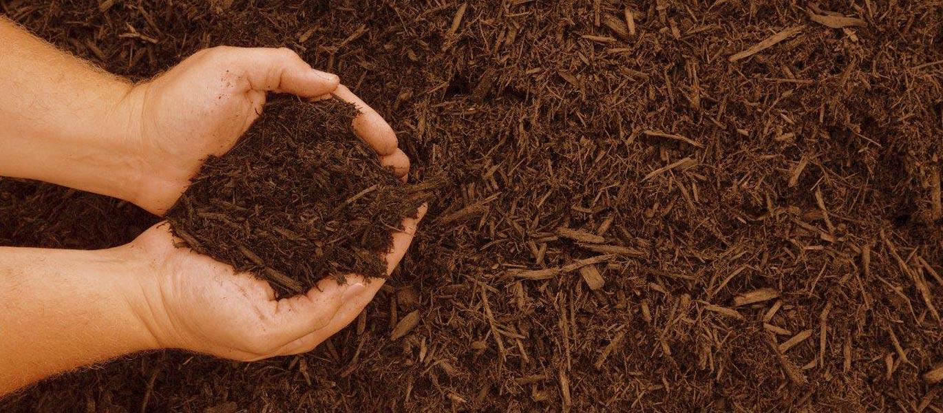 compost-fertilizzante