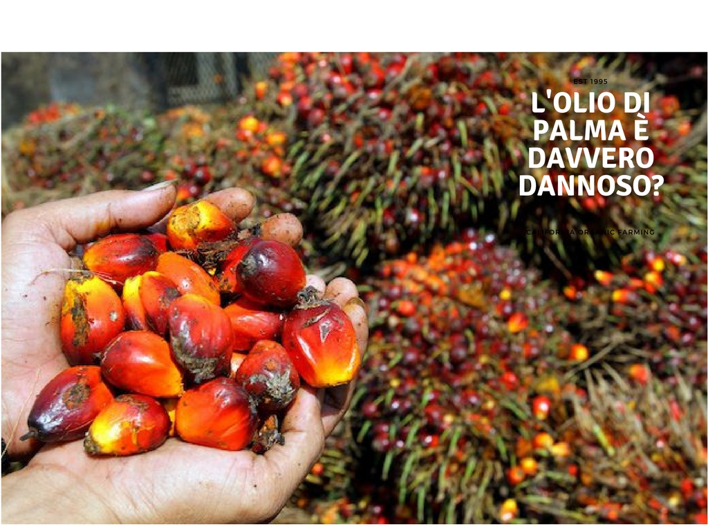 olio-di-palma