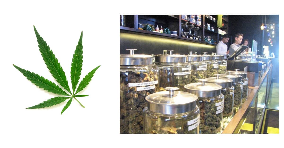 Industria-cannabis-brand-espansione-marketing