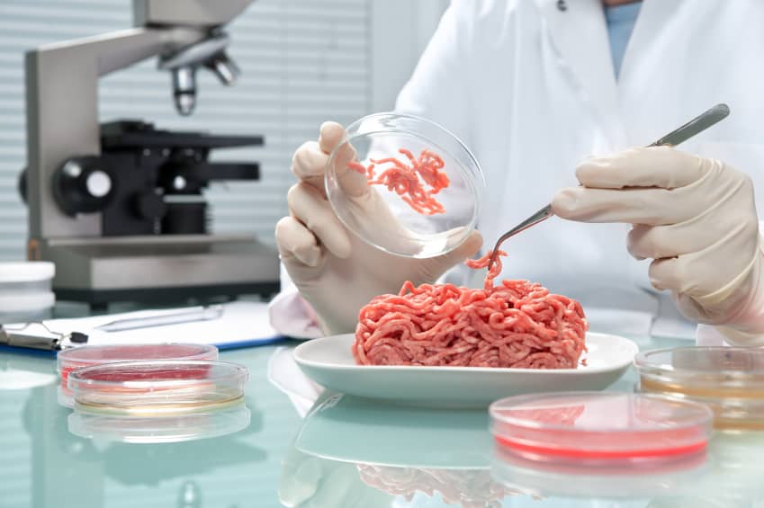 carne-prodotta-in-laboratorio