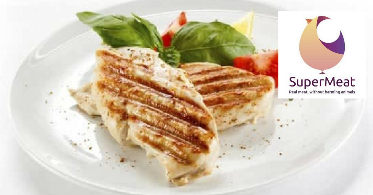 carne-prodotta-in-laboratorio