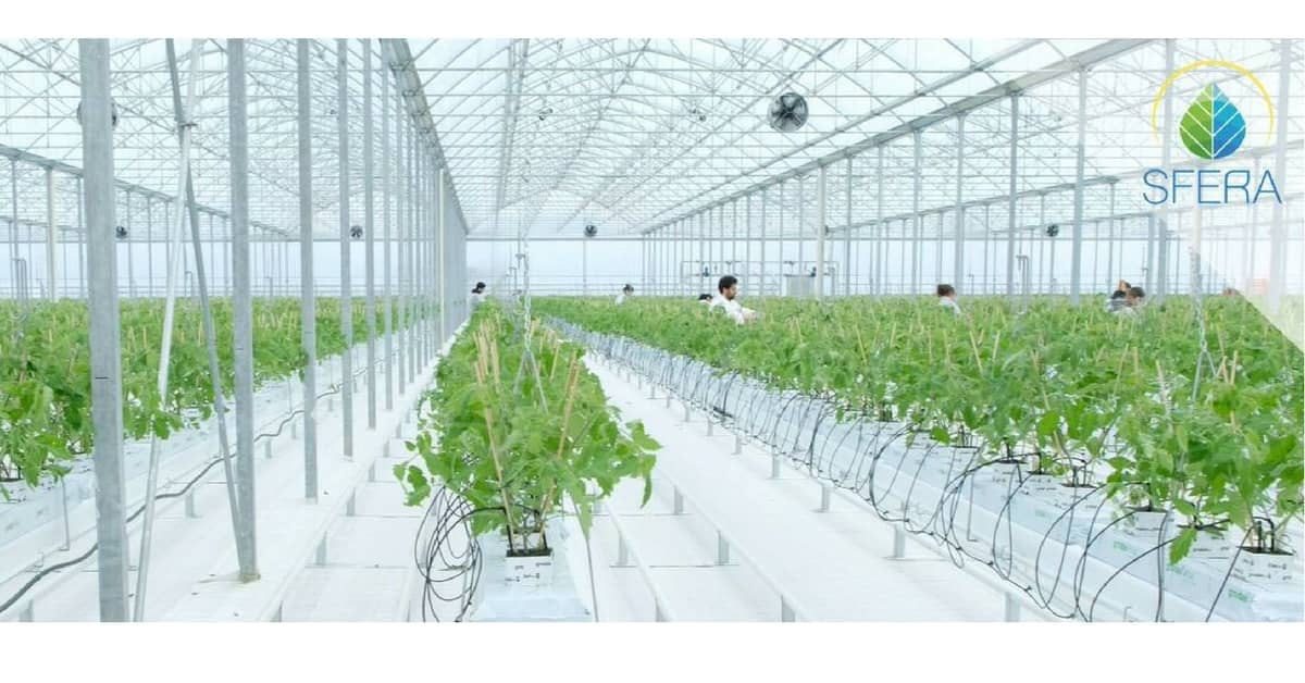 progetto-sfera-maremma