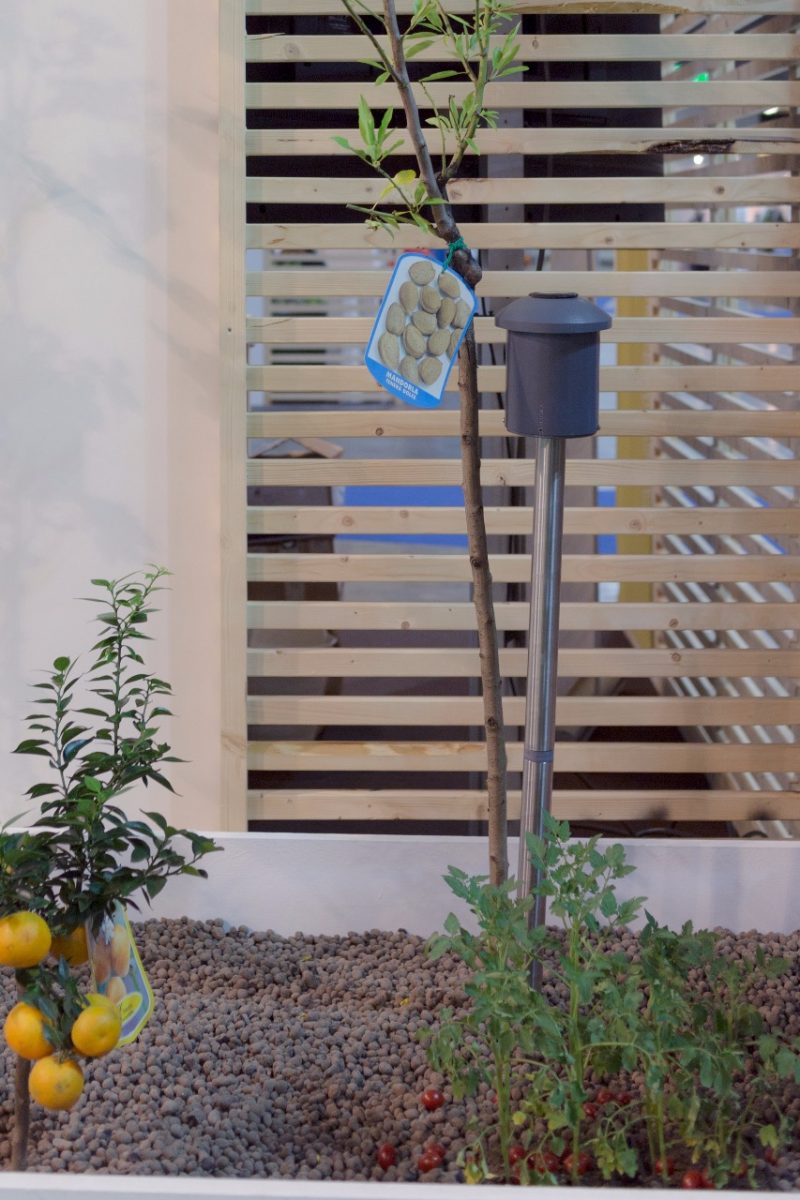 SmartIsland-agritech