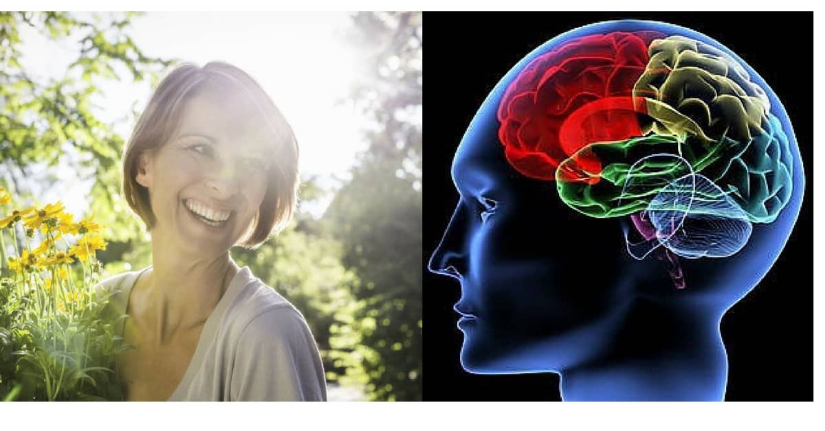 felicità-neuroscienze