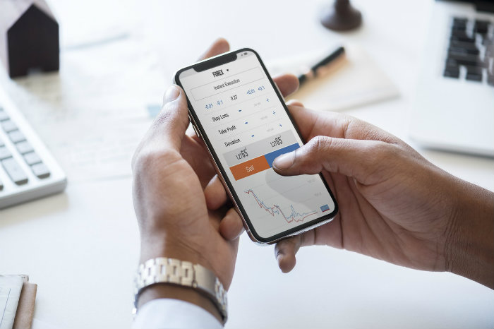 nicchie sempreverdi business online