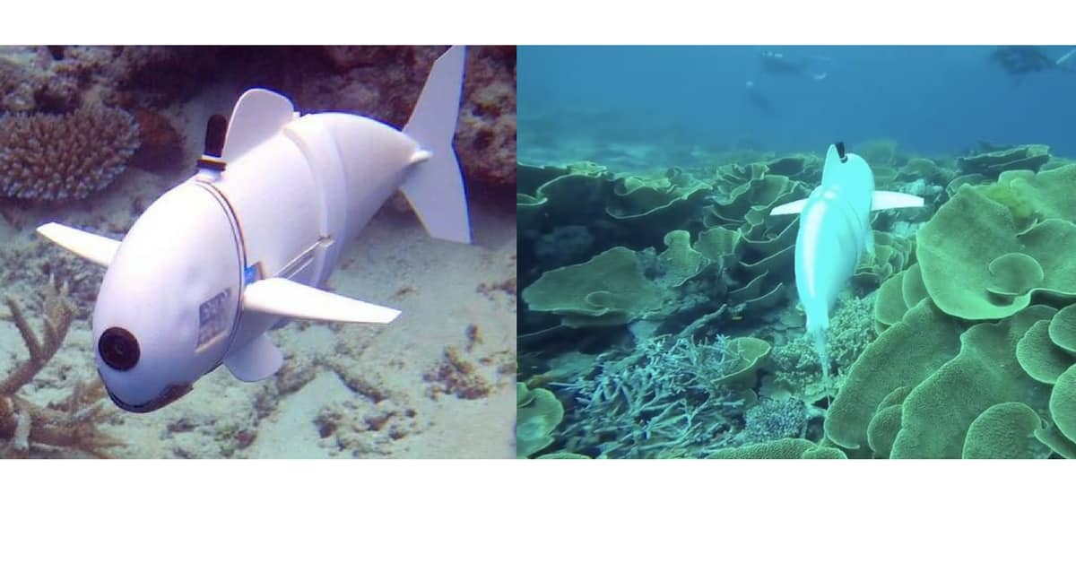 pesce-robot-MIT