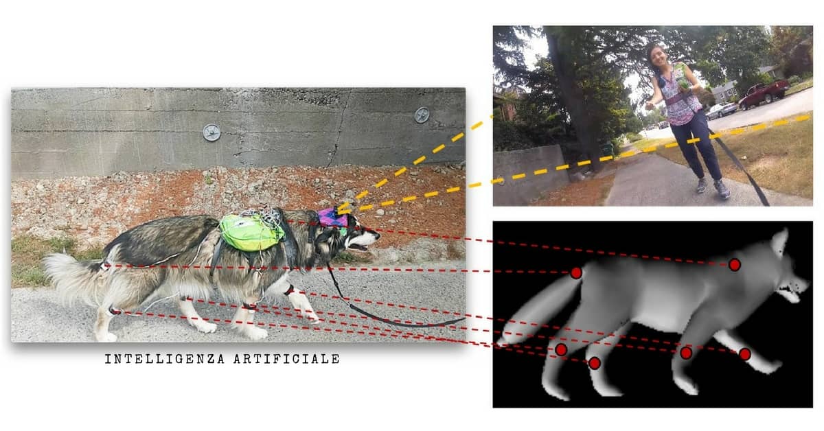 Intelligenza-artificiale-progetto-cani