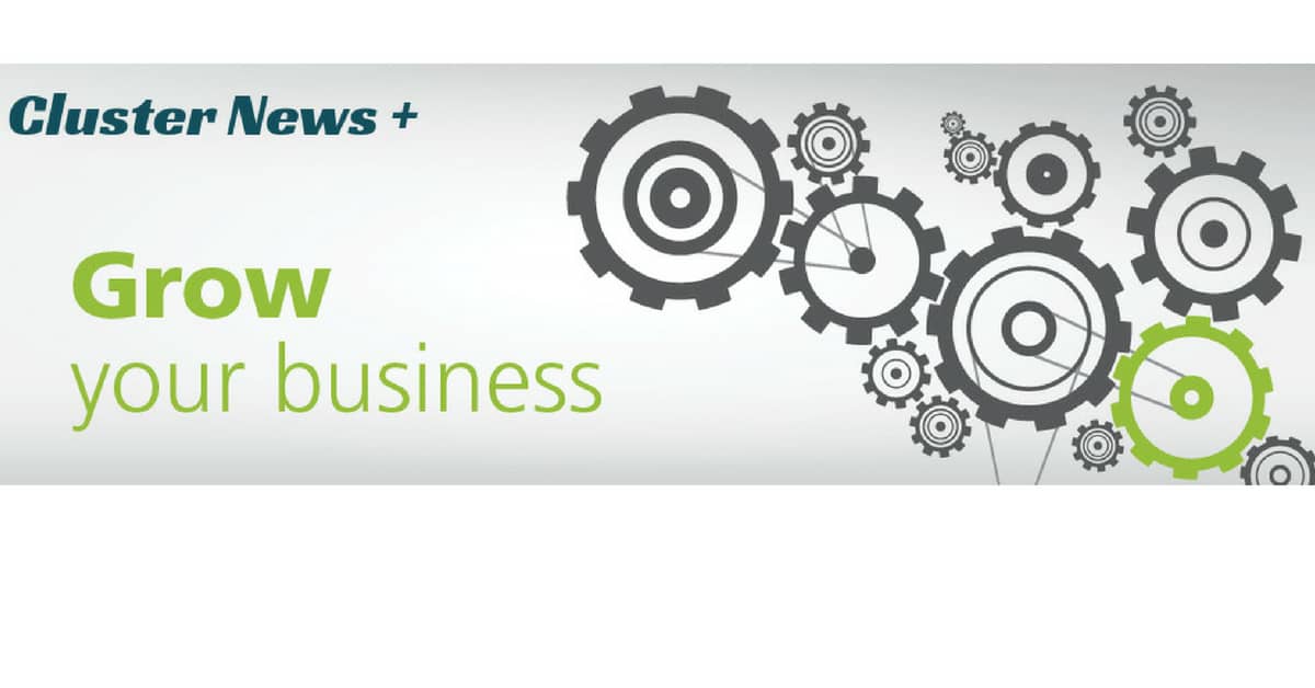 business-cluster-imprese