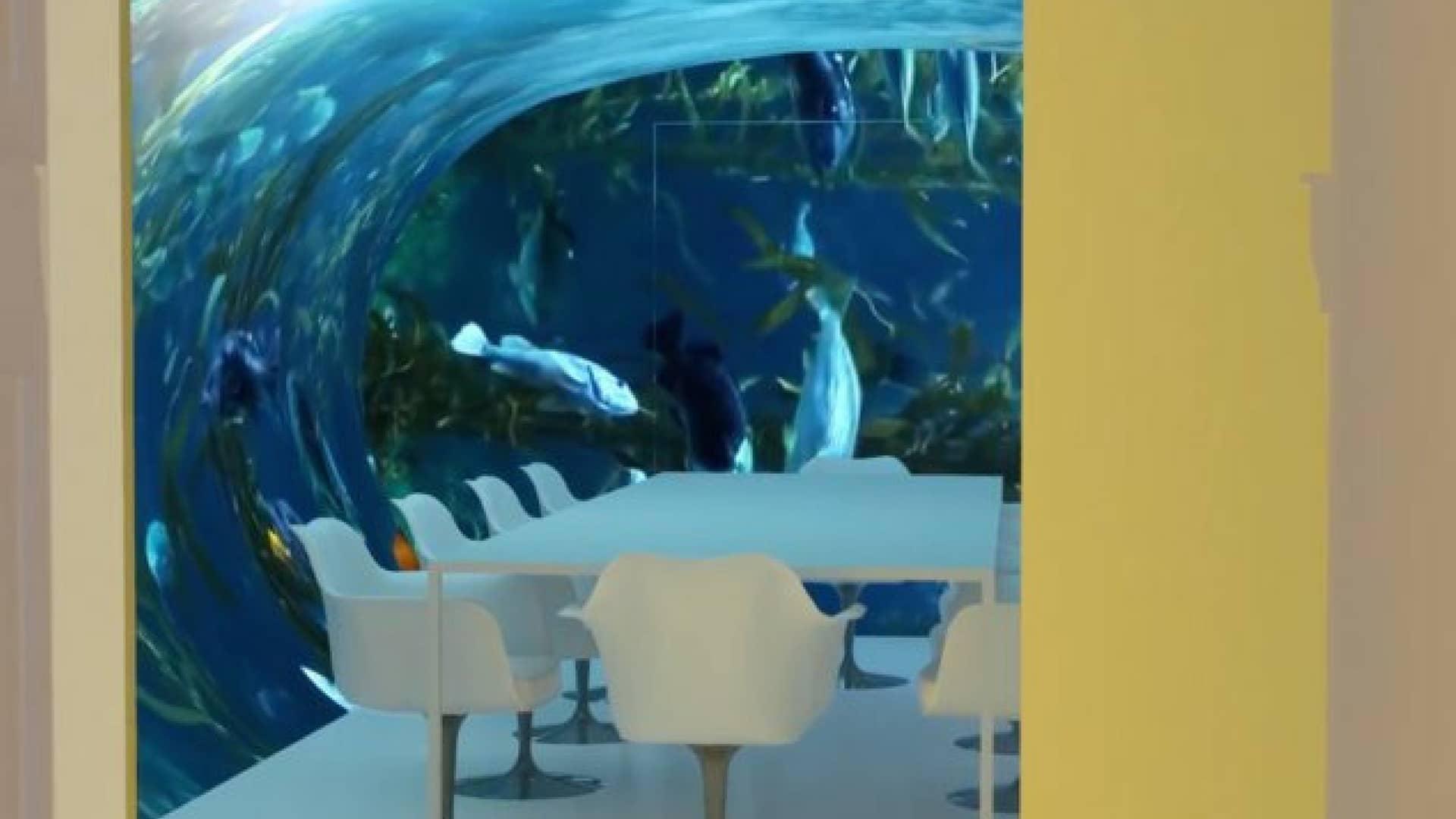 anthony-diiorio-ufficio