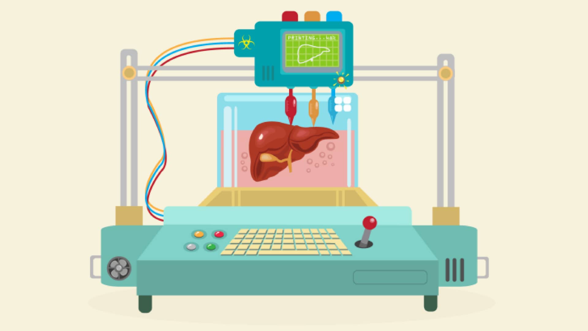 organi-stampa3d-prellis-biologics