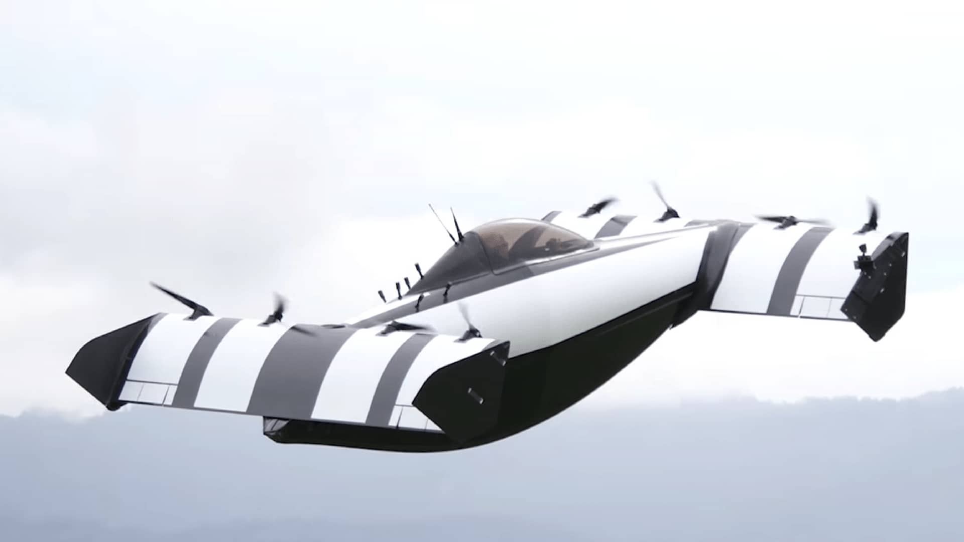 blackfly-auto-volante