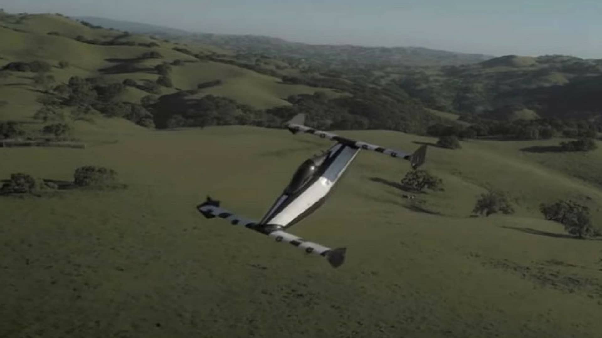 blackfly-auto-volante