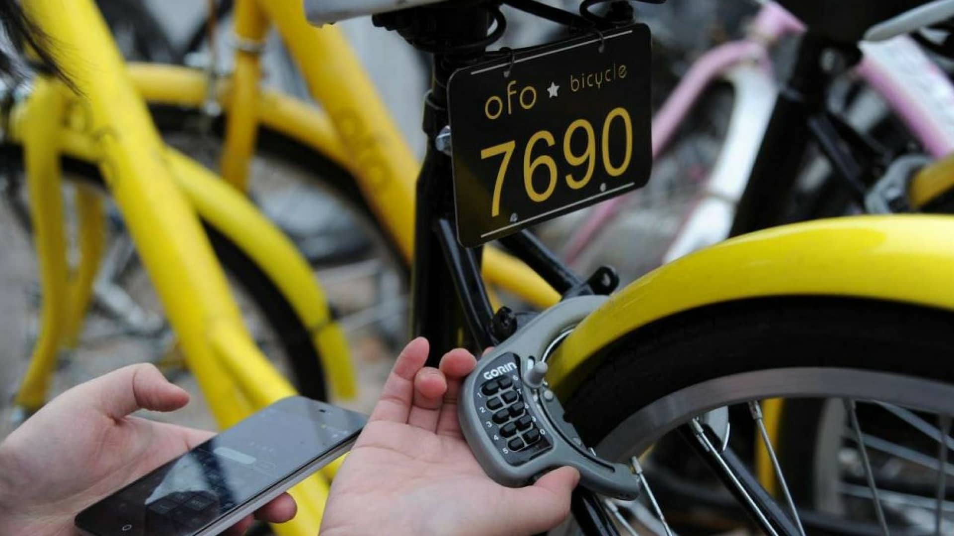 ofo-bike-sharing-stati-uniti