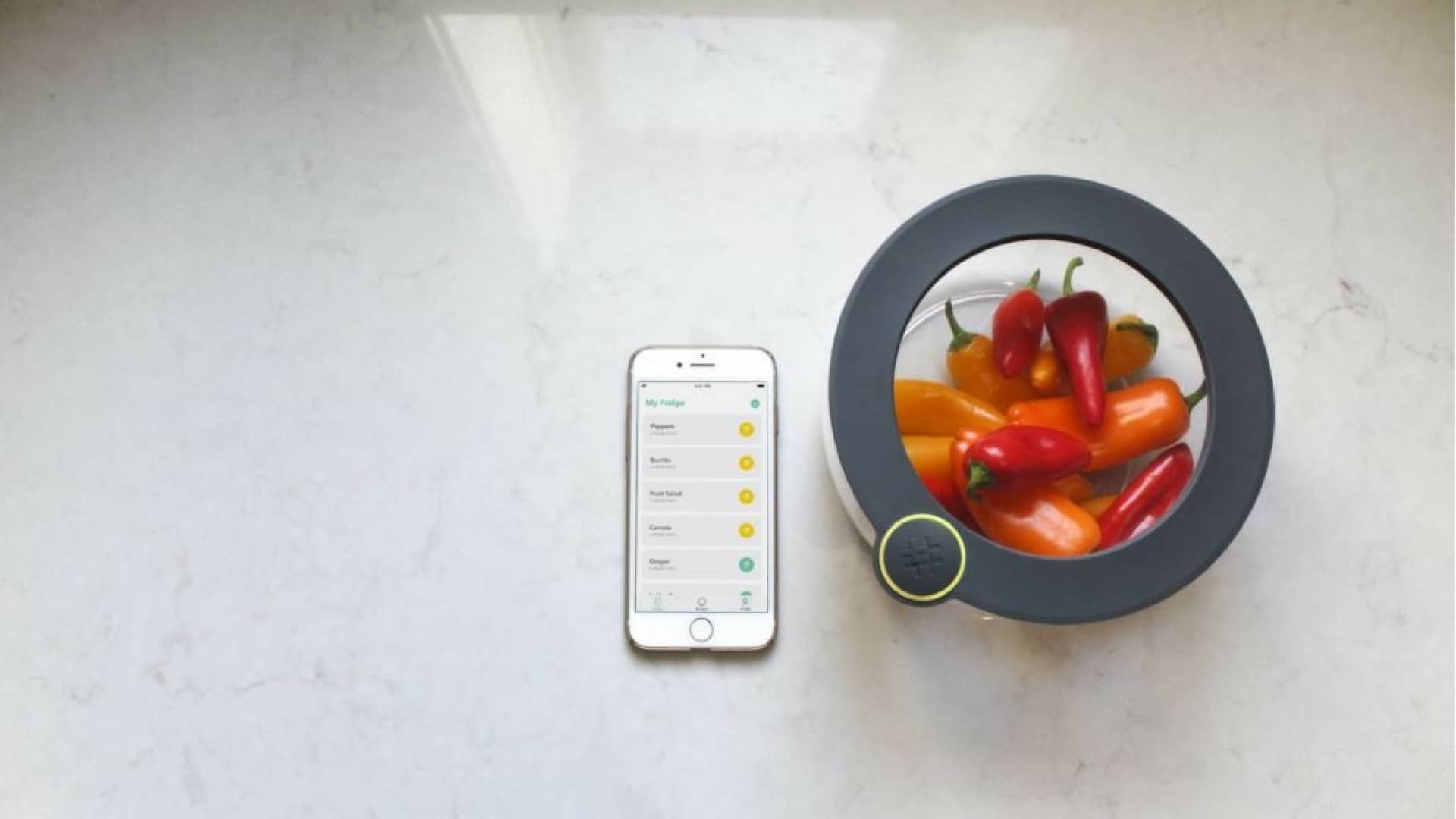 ovie-startup-alimentare