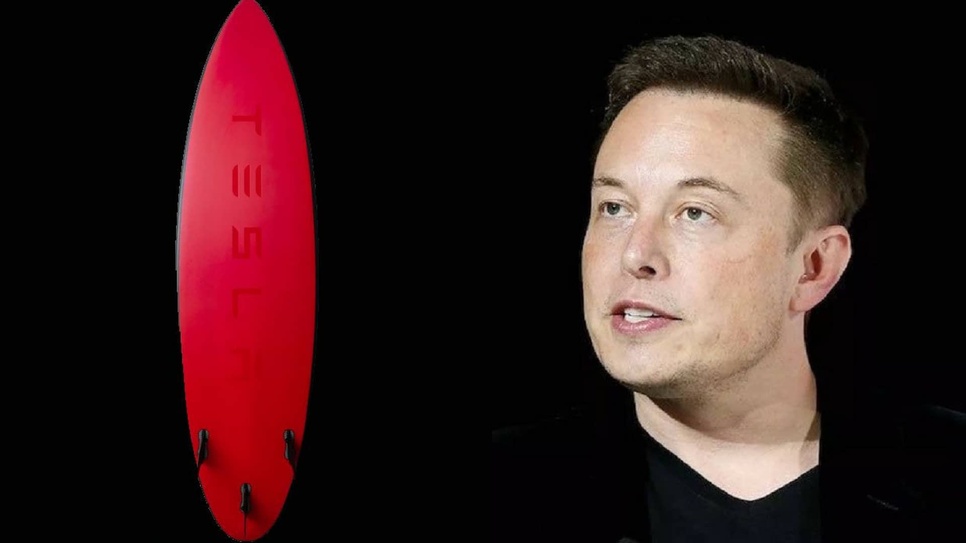 tesla-elon-musk-tavole-da-surf