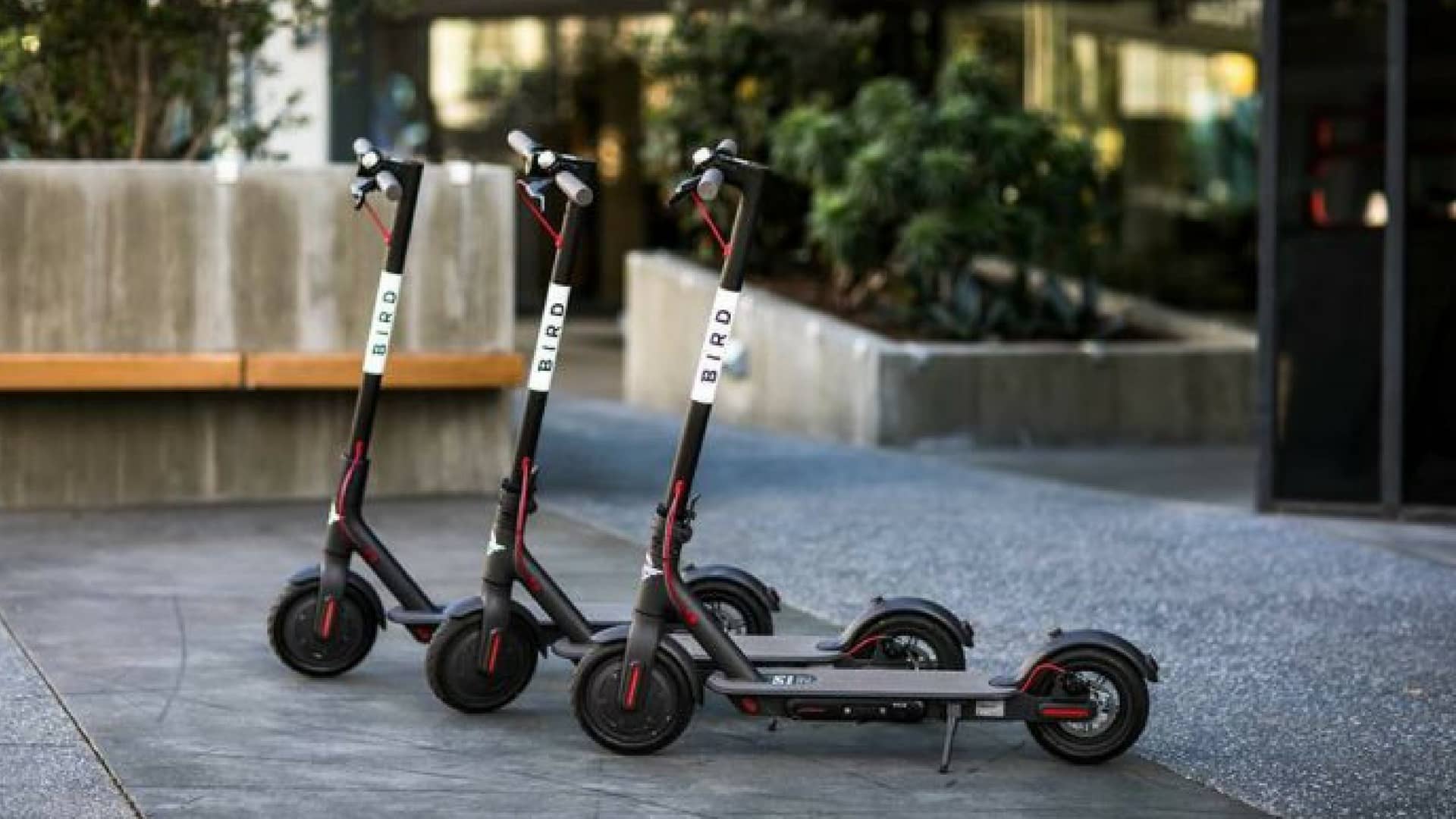 bird-startup-scooter-elettrici