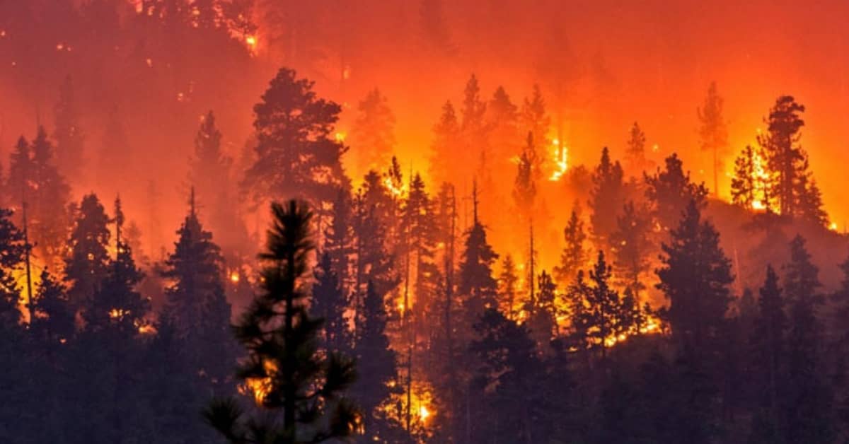 intelligenza-artificiale-california-incendi