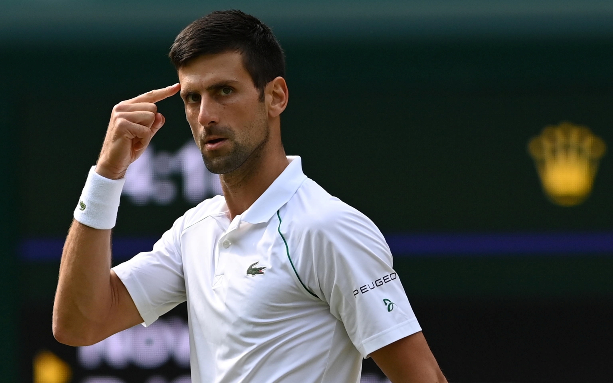 Djokovic paragonato al Marchese del Grillo