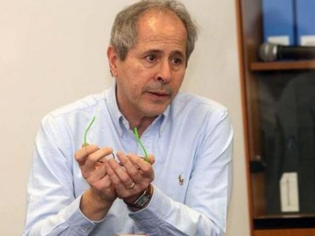 Crisanti critica il governo sul Super green pass