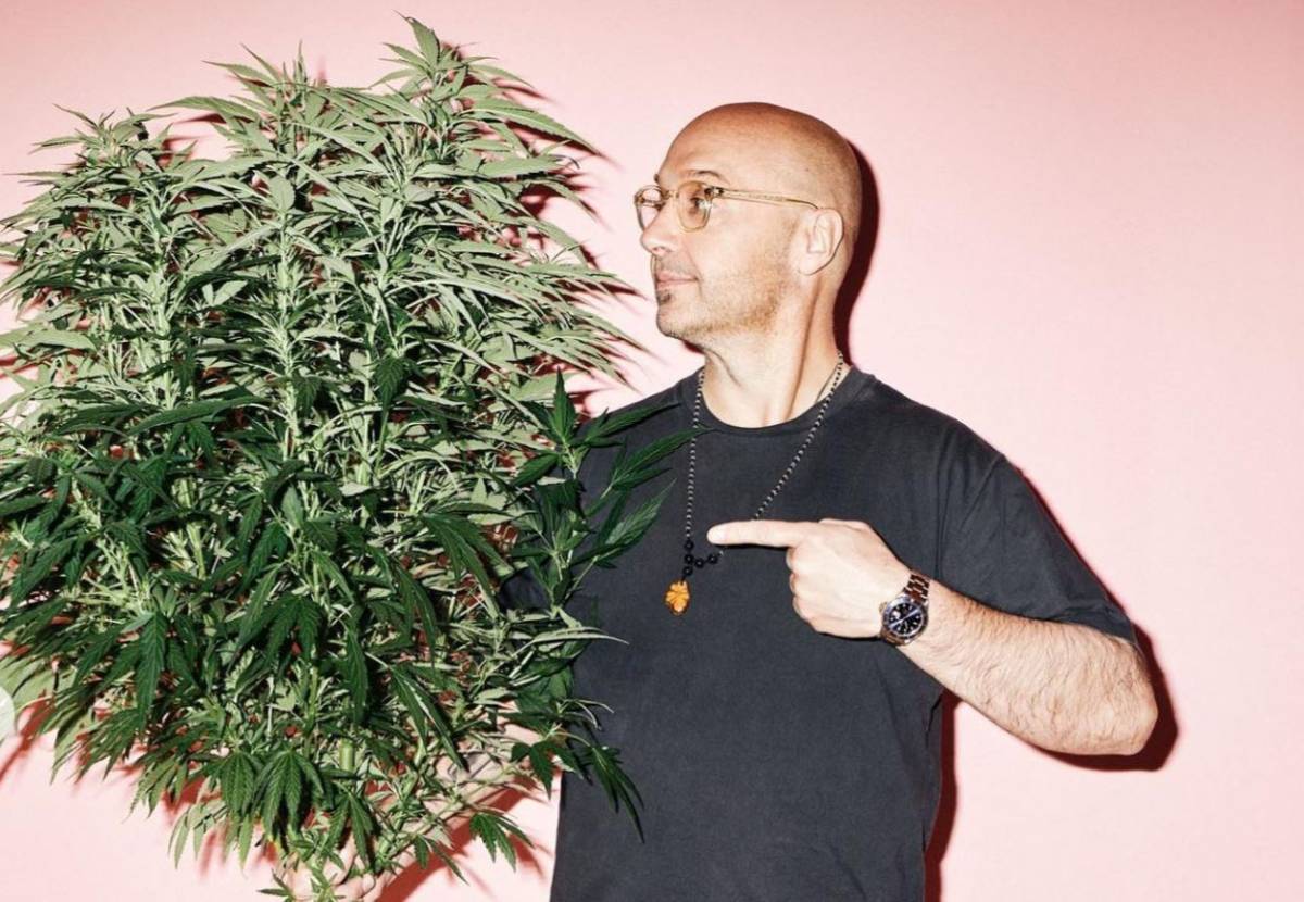 Joe Bastianich cucina pure la cannabis