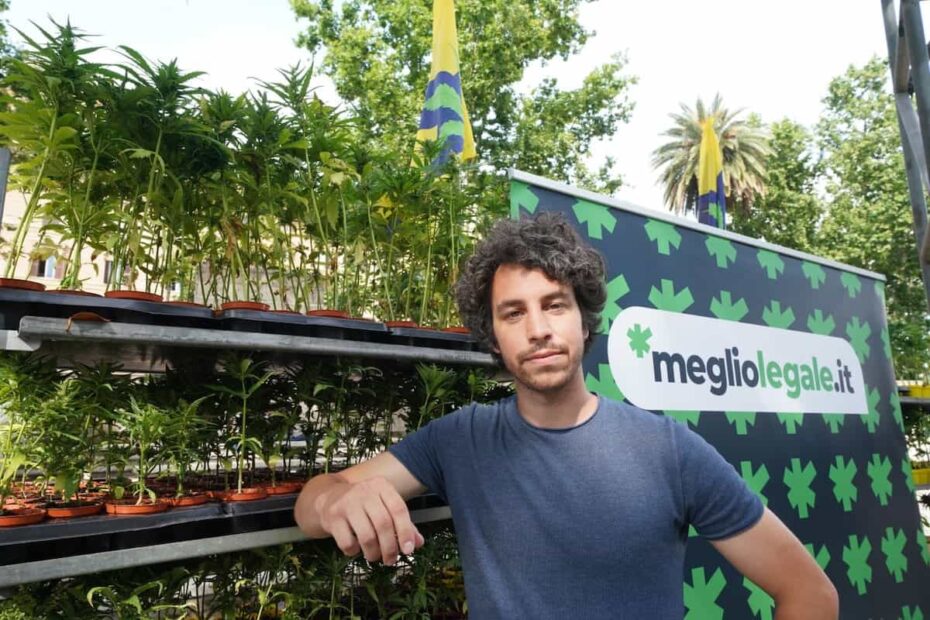 Santori ammette di coltivare cannabis ma adesso ha paura