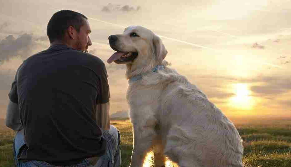 Quest'uomo lo ha fatto veramente con il suo cane
