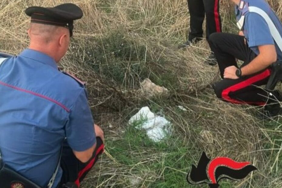 La scoperta dei carabinieri di Trapani è incredibile