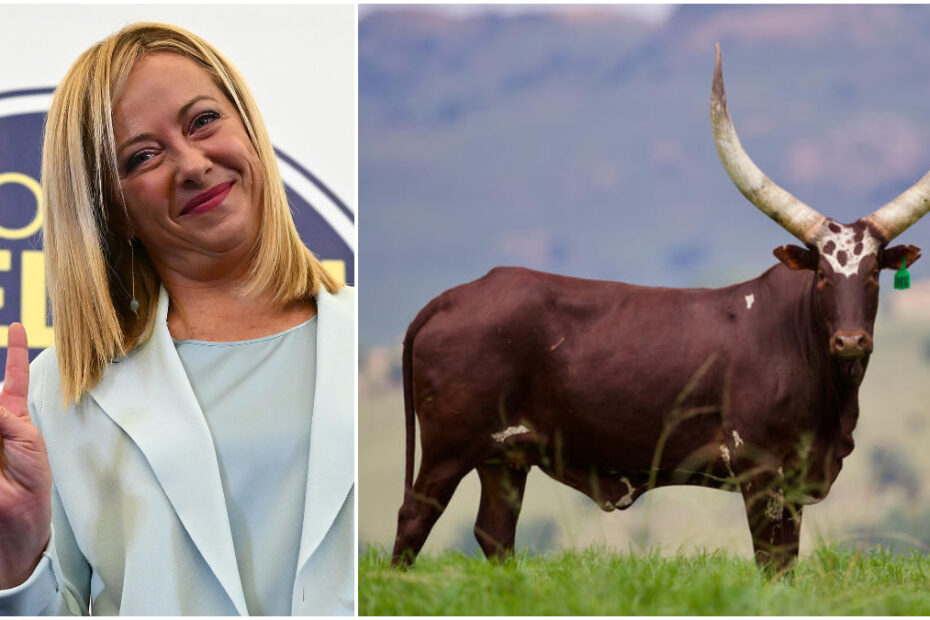 Il regalo sorprendente per Giorgia Meloni
