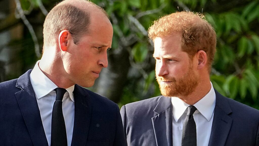 Harry contro William, tutte le anticipazioni del libro