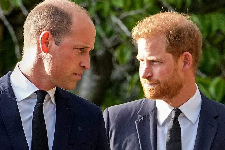 Harry contro William, tutte le anticipazioni del libro