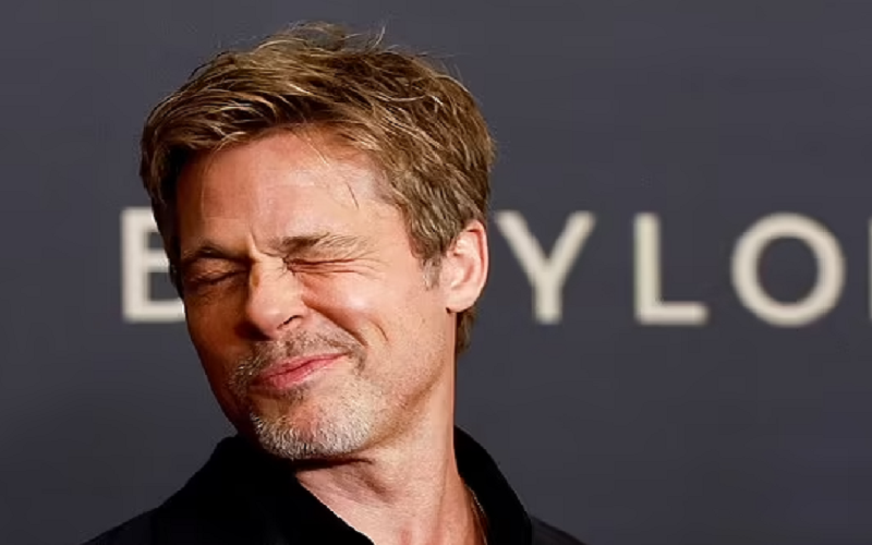 Brad Pitt email cancellata