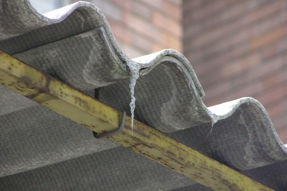 donna morta mesotelioma pleurico