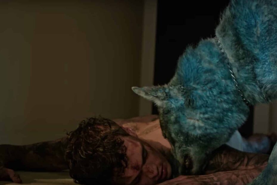 Blanco cane maltrattamento animalisti