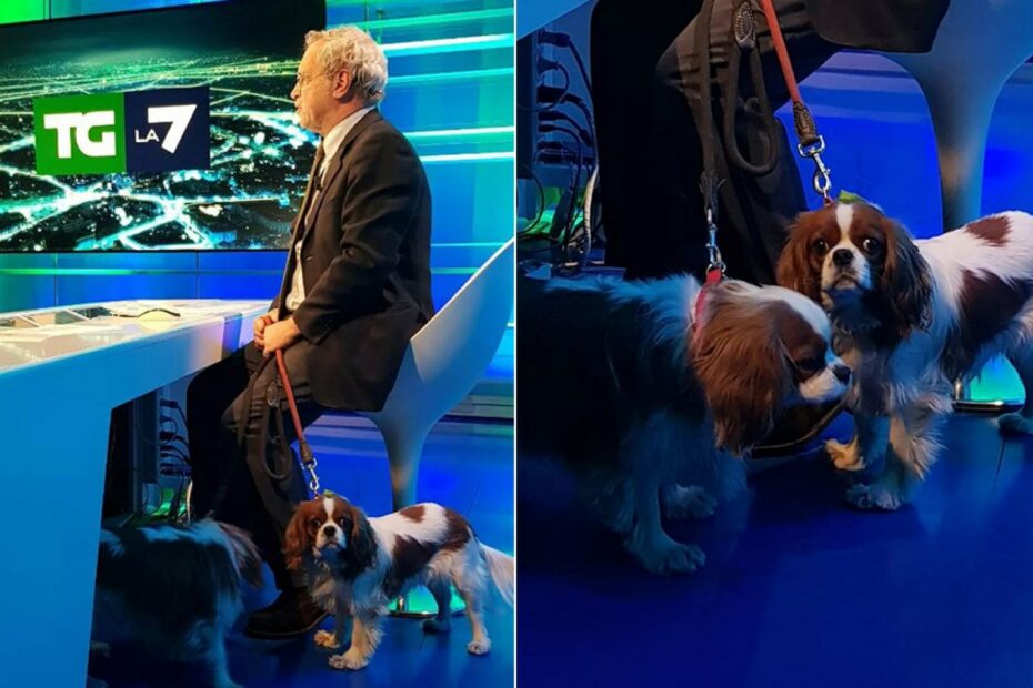 Enrico Mentana cani Fagnani