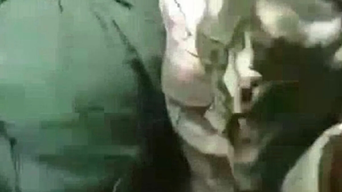 Video decapitazione russi ucraini